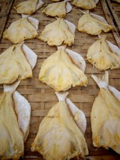 Ikan Asin Jambal Roti Khas Cilacap 1 Kg
