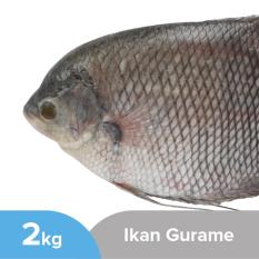Ikan Gurame Utuh Segar Kemasan 2kg