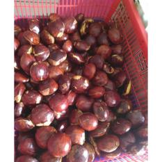 Jengkol Tua Fresh / Jengkol Tua Kupas 1kg By Arie Collection.
