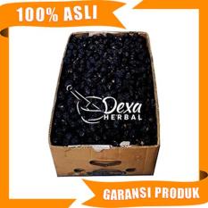 Kurma Ajwa Nabi 500 Gram Segar Import Arab Original
