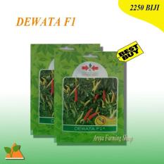 Panah Merah Benih Bibit Cabe Rawit Putih DEWATA F1 2.250 Biji