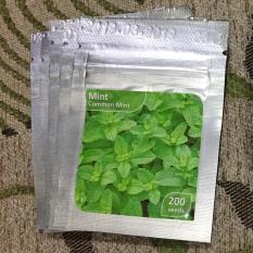 PROMO Benih Bibit Daun Mint Common Mint PALING MURAH