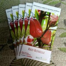 PROMO Benih Bibit Herbal Bunga Rosela Merah RED ROSELLE Herb TERMURAH