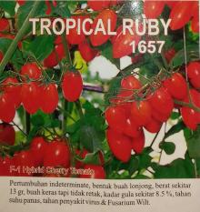 PROMO Repacking- Benih Tomat Cherry Tropical Ruby- Known You Seed MU