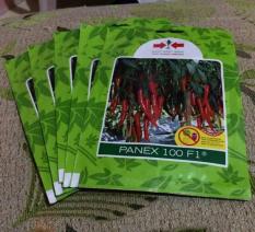 SPESIAL Benih Bibit Cabe PANEX 100 F1- Cabai Merah Besar Hibrida- Ke
