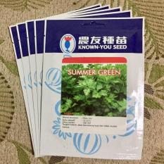 TERBATAS Benih Bibit Seledri SUMMER GREEN Merk Known You Seed ORI PACK