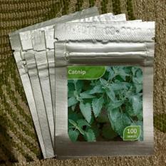 TERBATAS Benih Bibit Tanaman Herb CATNIP PALING MURAH