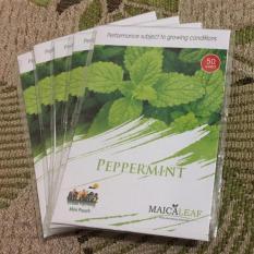 TERUMURAH Bibit Benih Daun Mint PEPPERMINT Merk Maica Leaf ORI PACK