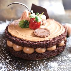 The Harvest Chocolate Curd D20