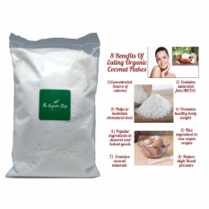 TheOrganicStop Natural Tepung Kelapa Kering Parut Keto Desiccated Coconut 500 gram