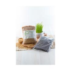 Wheatgrass Seed/Bibit Rumput Gandum