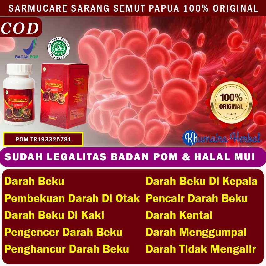 Jual Obat Herbal Pembekuan Darah Kepala Terbaru Lazada Co Id