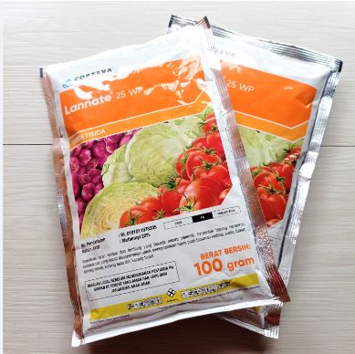 Obektlarni oz ichiga olgan porno