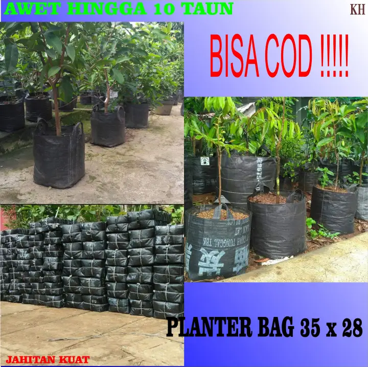 Planter Bag Pot Tanaman 35 X 28 Planter Bag Terpal Pot Bunga Lazada Indonesia