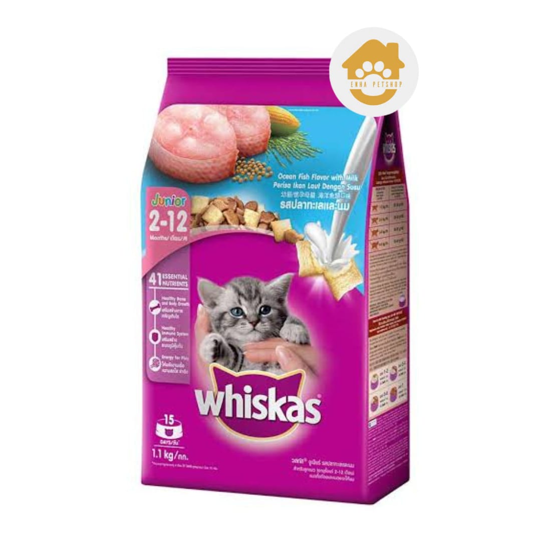 Whiskas Junior Ocean Fish 1.1kg FRESHPACK Makanan Kucing Kering Lazada Indonesia