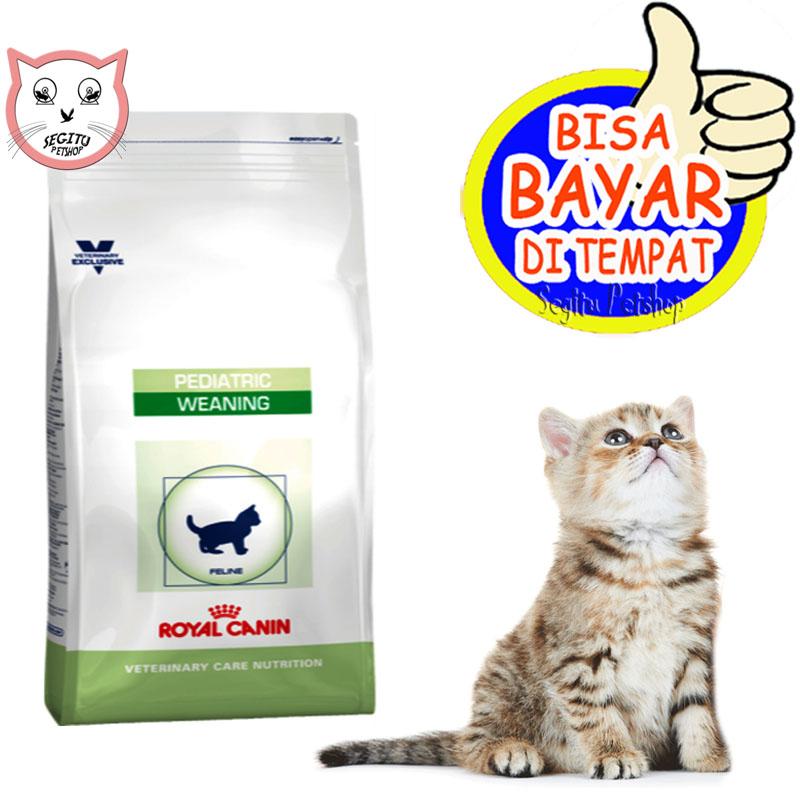 Royal canin best sale pediatric weaning kitten