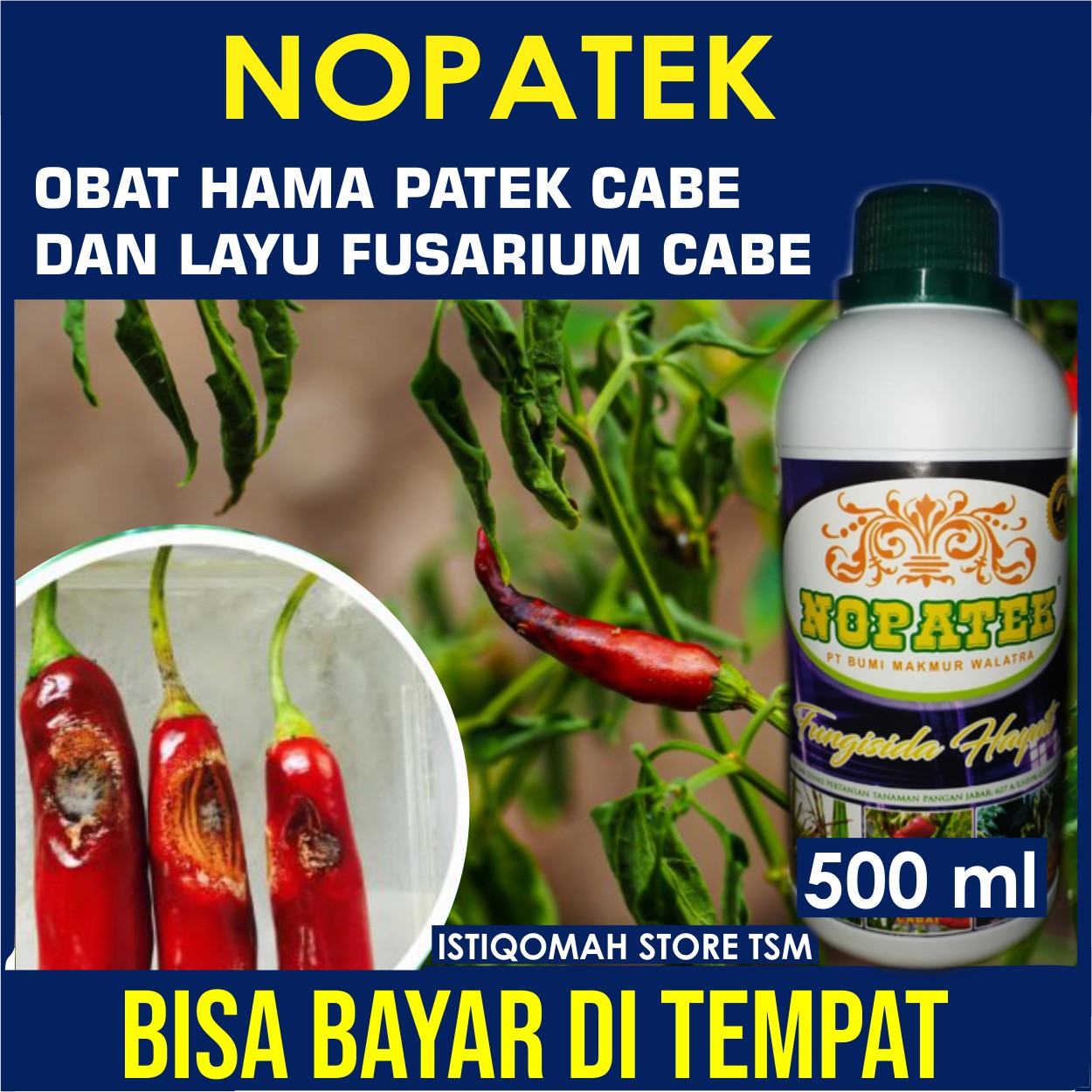 Promo Nopatek Fungisida Hayati Mengatasi Cabe Rawit Busuk Kering Obat Patek Cabe Rawit Obat