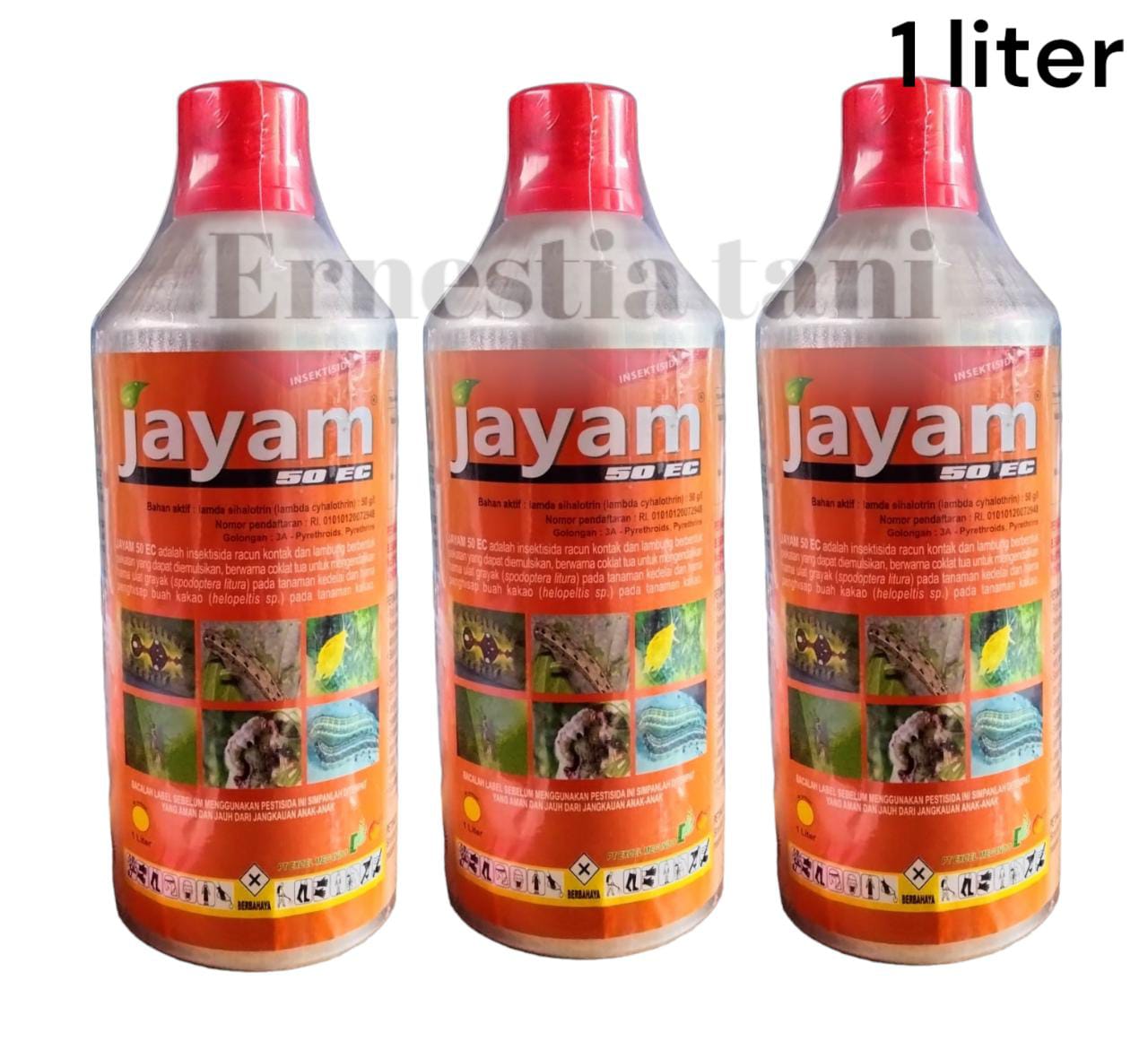 Yalangoch yoglilar olomon tomonidan sikiladi Yalangoch yoglilar olomon tomonidan sikiladi