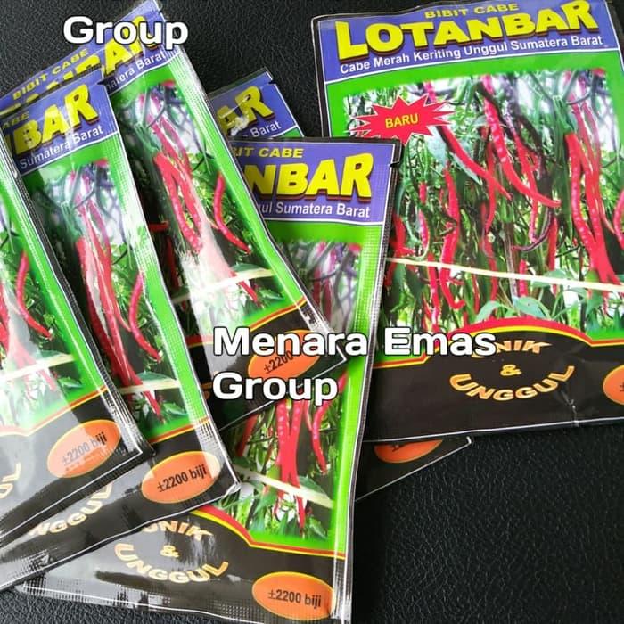 Cabe Toleran Patek & Virus LOTANBAR Asli Payakumbuh