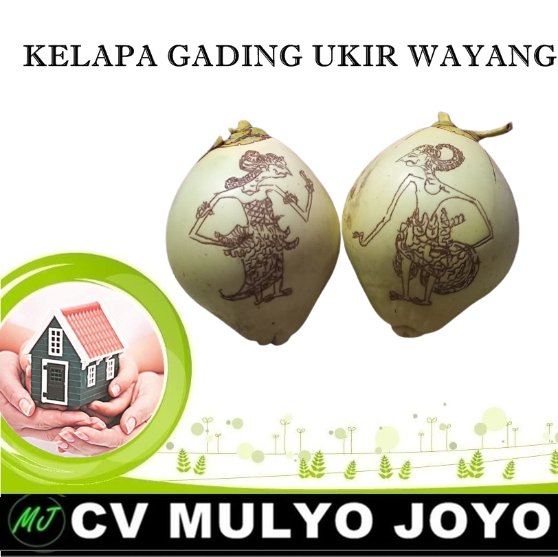 KELAPA GADING KUNING GAMBAR WAYANG 7 BULANAN TINGKEPAN | Lazada Indonesia