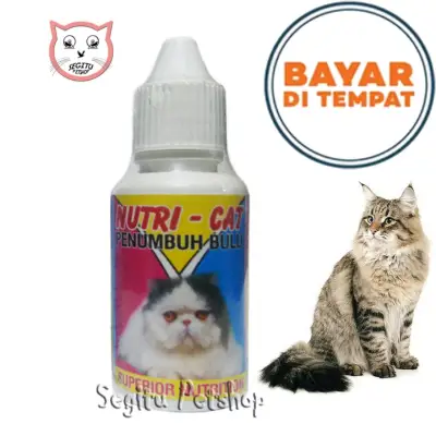 Nutricat Vitamin Bulu Kucing Obat Penumbuh Bulu Kucing Rontok Nutri Cat