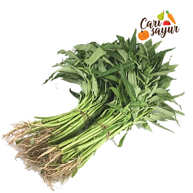 CARI SAYUR - Kangkung Akar [500 gr] | Lazada Indonesia