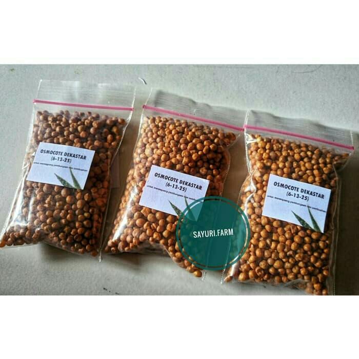 Dekastar Osmocote Pupuk 6 13 25 Repack 100gram Lazada Indonesia