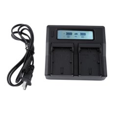 100-240V Dual Battery Charger LCD For Canon LP-E6 EOS 5DMark60D70D80D Series US Plug - intl