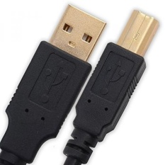 10Ft Panjang HiSpeed Berlapis Emas USB2.0 Kabel Printer IPAX® untuk HP Brother EPSON Expression Home XP-320 XP-420 WorkForce WF-2630 WF-3620 WF-3640 Canon PIXMA MXGGGaserJet Pro P1102w-Intl