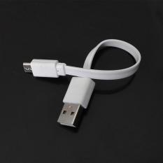 17 Cm Tembaga Penuh Mini USB Kabel Micro USB Kabel Pengisian untuk Samsung Xiaomi Huawei LG HTC Putih-Intl