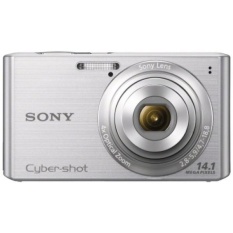 360 Kamera Sony Cyber-shot DSCW610 14.1 MP Digital Kamera dengan 4x Optik Zoom dan 2.7 Inci LCD (Perak) (Model 2012)-Internasional