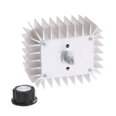 AC 220 V 5,000 W SCR Tegangan Regulator Speed Suhu ControllerDimmer-Intl