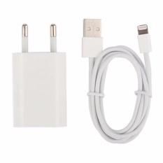 Apple Charger iphone 5/5c/5s/6/6+/6s plus Original + USB Putih NU0403