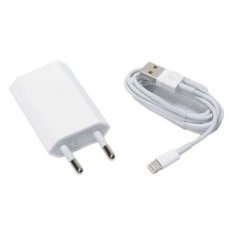 Apple Travel Charger Adapter iPhone 5G/5S - 5 Watt Travel Charger + USB Cable For 8pin Ori - White/ Putih