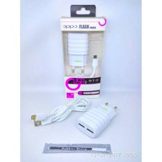 Askhev Travel Charger 2 in 1 2 USB 2.1A for Oppo
