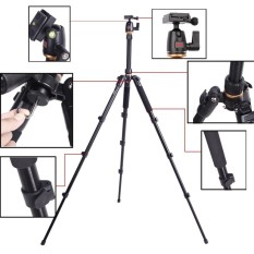 Beike BK-555 Tripod untuk SLR Bola Kamera Kepala Portabel Perjalanan Dilipat-Intl