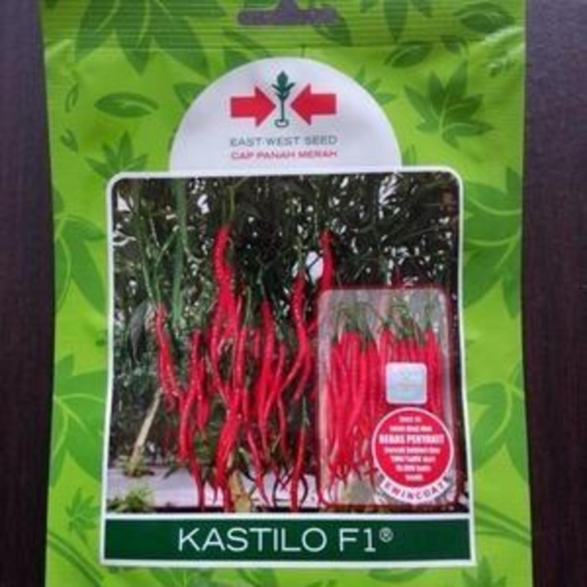 Benih Bibit Tanaman Cabai Cabe Keriting Hibrida F1 KASTILO Hidroponik
