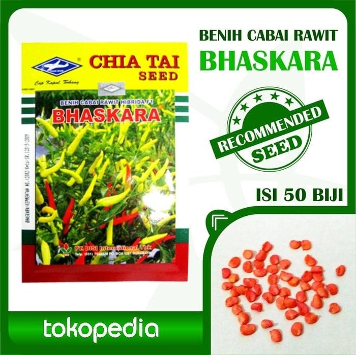 Benih Bibit Tanaman Cabai Cabe Rawit Hibrida F1 BHASKARA - Isi 50 biji