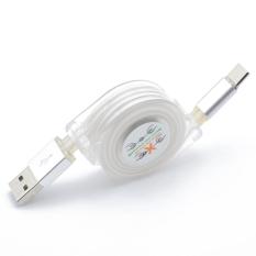 Bigskyie LED Light USB C Tipe-C Charger Kabel Data Pengisian Kabel untuk Samsung Galaxy S8-Intl