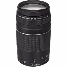 Lensa Canon EF 75-300mm F/4-5.6 III