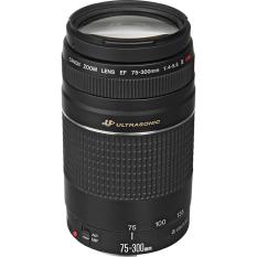 Canon EF 75-300mm f/4-5.6 III USM Ultrasonic