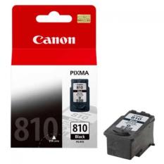CANON INK CARTRIDGE PG810 BLACK ORIGINAL
