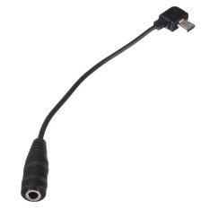 Channy 3.5mm Micro USB Jack untuk Headphone Earphone Headset Adaptor Soket Kabel Audio (Intl) BARU-Intl
