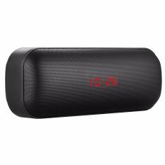 dbE Acoustics PS99 Portable Speaker