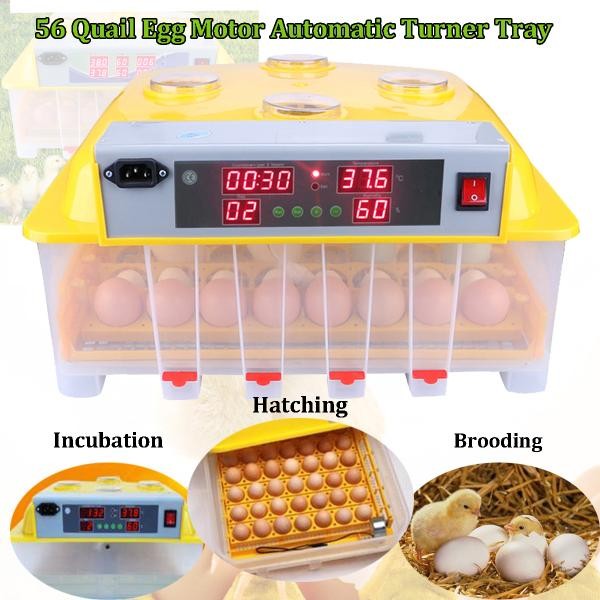 Digital 110 V 56 Telur Mesin Penetas Otomatis Hatch Mengubah Ayam Burung Puyuh Unggas-Internasional