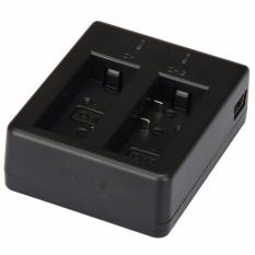 Dual Charger for SJCAM SJ4000 SJ5000 SJ6000 M10, Brica Bpro, Bcare, Eken, Kogan Baterai