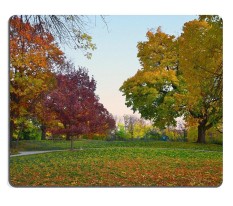 ELong Station Dijual Y011 Gaming mouse Pad mouse Mat Fall Warna Di Madison Oktober Bahan Karet Alam PM010297-Intl