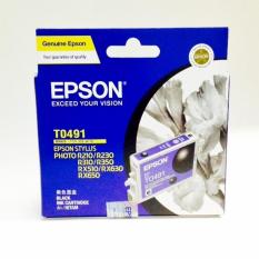 Epson T0491 Black Ink Cartridge