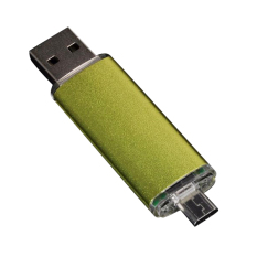 Fang Fang 2 In 1 Micro dan Mini Dual USB Thumb Pen Drive Flash 8 GB untuk Digunakan Di Telepon PC (Hijau)