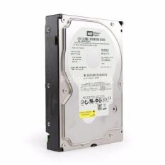 Harddisk Western Digital / Hitachi 320GB for PC / DVR CCTV Garansi 1 Tahun